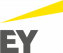 ernst-young consulting 